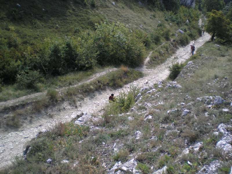 P7220064.JPG