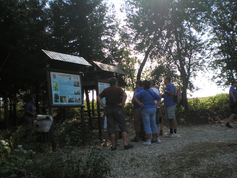 P7230100.JPG