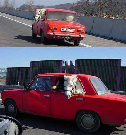 transport.jpg